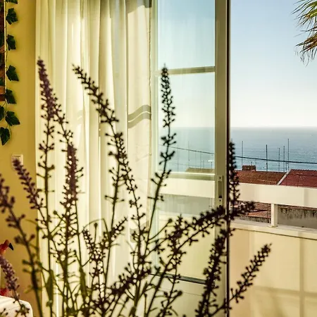 Paz & Flat - Peace & Apartment