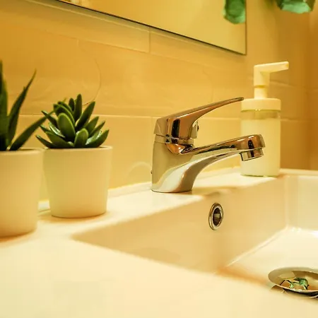 Paz & Flat - Peace & * Nazaré