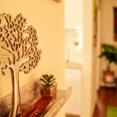 Paz & Flat - Peace & Daire Nazaré