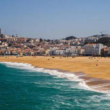 Paz & Flat - Peace & Nazaré