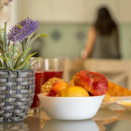 Paz & Flat - Peace & Apartment Nazaré