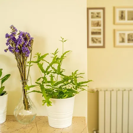 Apartment Paz & Flat - Peace & Nazaré