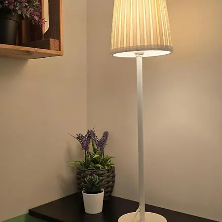 Paz & Flat - Peace & * Nazaré